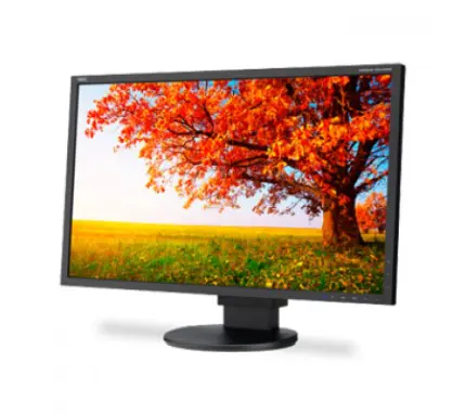 NEC EA224WMI-BK-CN GAMING DESKTOP MONITOR