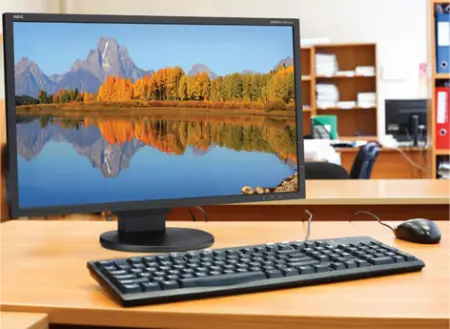 NEC EA223WM-BK-CN GAMING Desktop Monitor