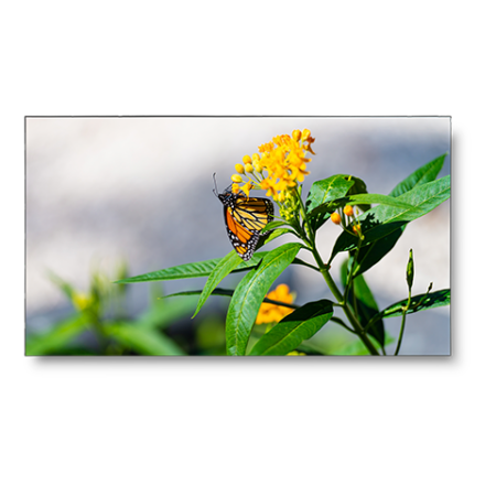 NEC UN462VA Professional-Grade Display