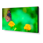 NEC UN492VS Professional-Grade Display