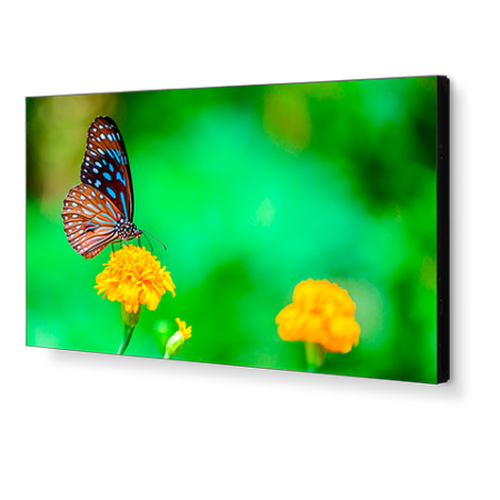 NEC UN492VS Professional-Grade Display