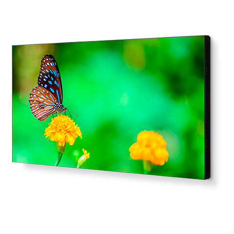 NEC UN492VS Professional-Grade Display NEC UN492VS Professional-Grade Display