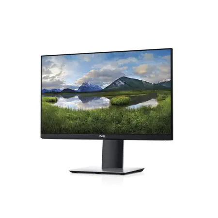 Dell 27 Monitor: P2719H