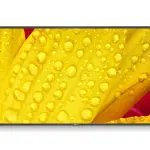 NEC MultiSync ME651 LCD 65" Display