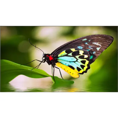 Nec MultiSync UN552 LCD 55" Video Wall Display